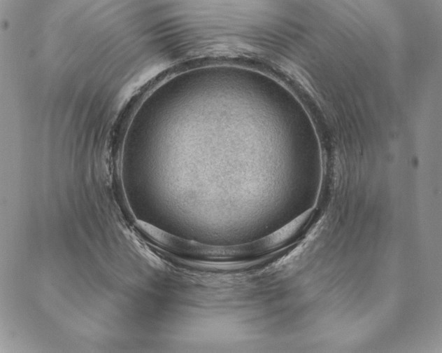 X0000089861018200706281245