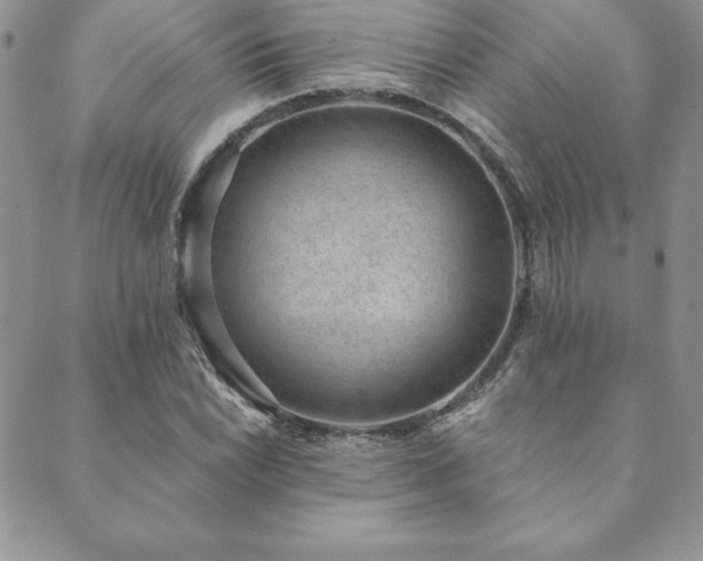X0000089861022200706281245