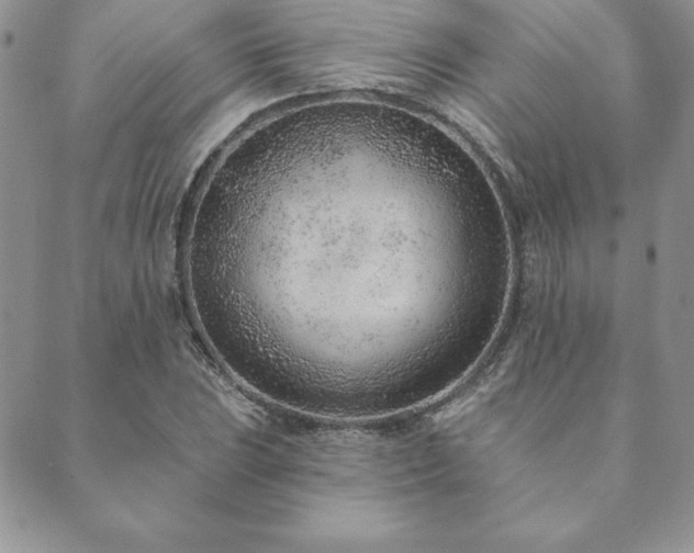 X0000089861023200706281245