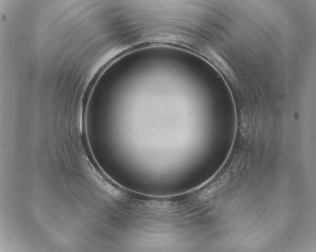 X0000089861036200706281246