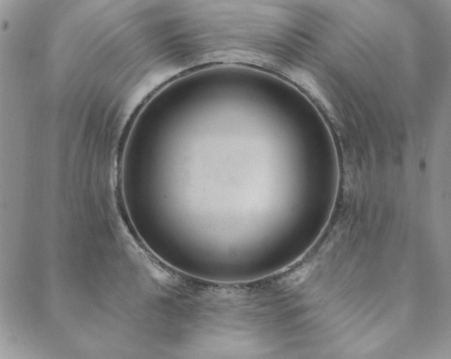 X0000089861040200706281246
