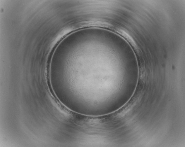 X0000089861043200706281246