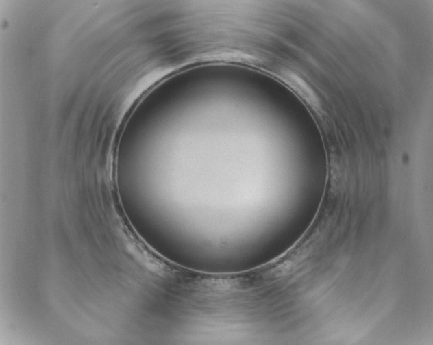 X0000089861044200706281246