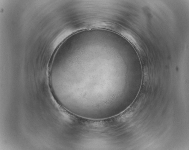X0000089861047200706281246