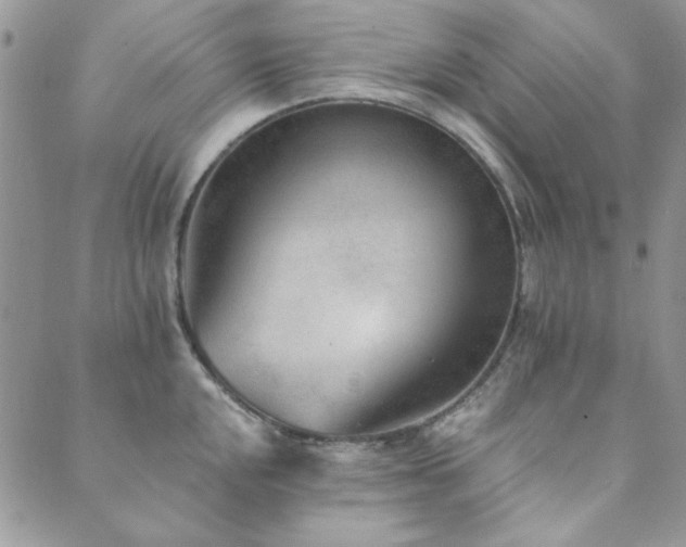 X0000089861048200706281246