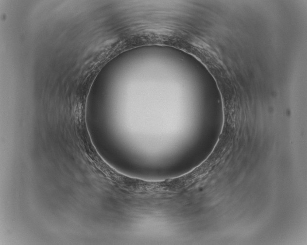 X0000089861061200706281245