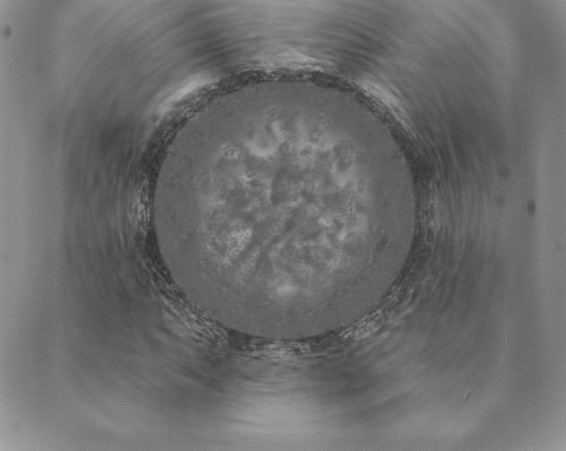 X0000089861063200706281245