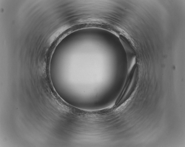 X0000089861066200706281245