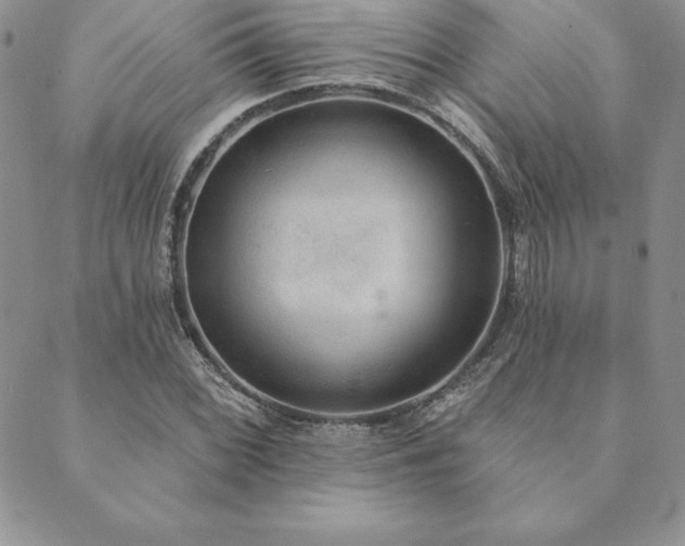 X0000089861068200706281245