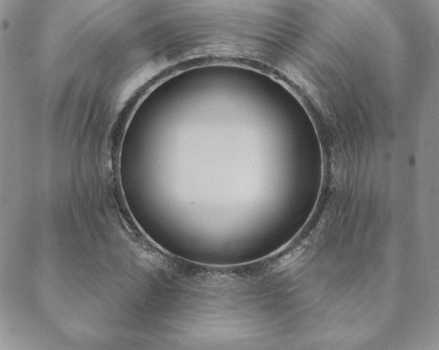 X0000089861070200706281245