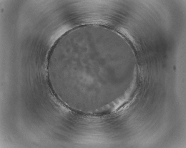 X0000089861071200706281245
