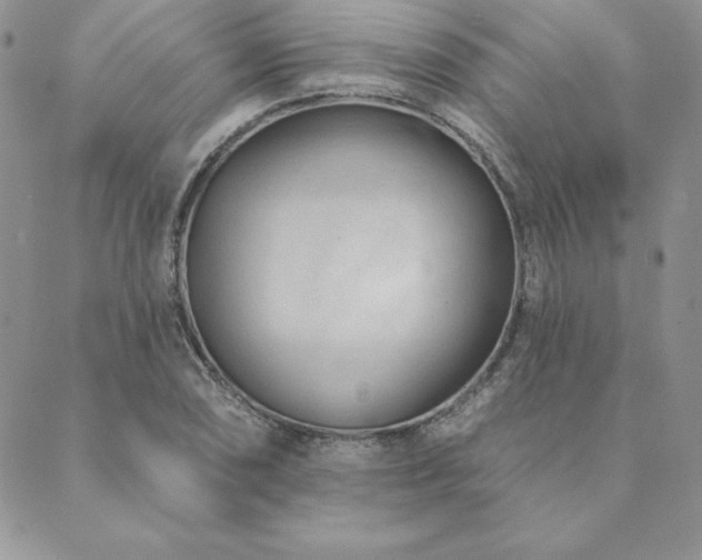 X0000089861074200706281245