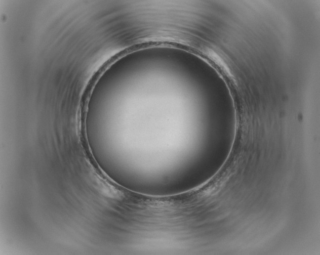 X0000089861076200706281245