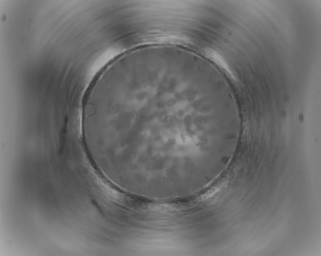 X0000089861079200706281245