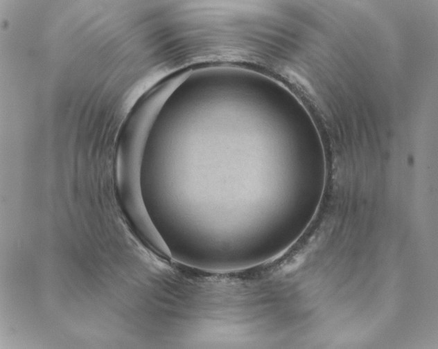 X0000089861081200706281245