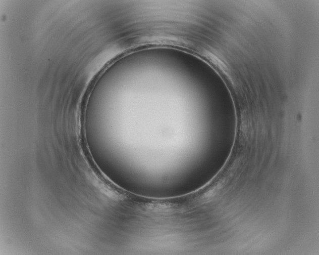 X0000089861082200706281245