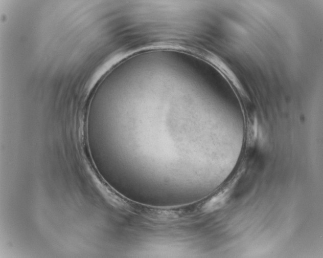 X0000089861101200706281244
