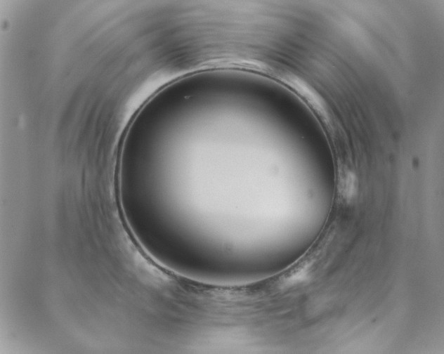 X0000089861102200706281244