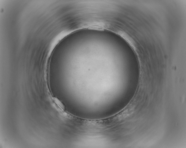 X0000089861104200706281244