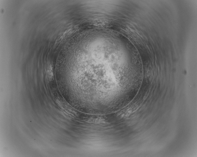 X0000089861106200706281244