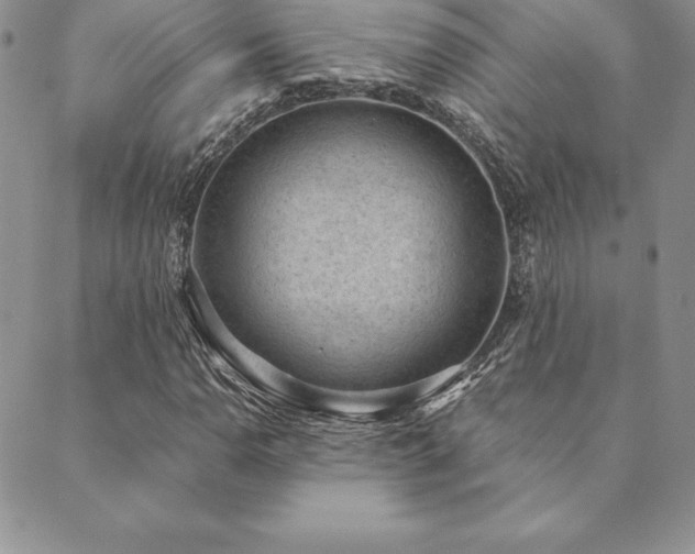 X0000089861110200706281244