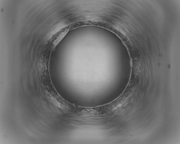 X0000089861112200706281244