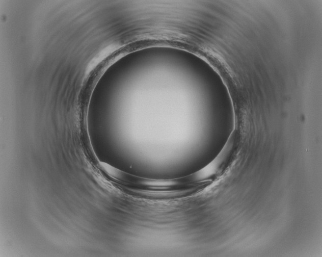 X0000089861114200706281244