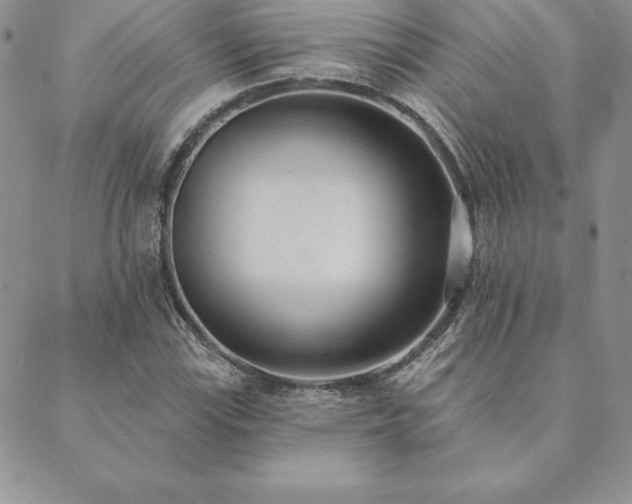 X0000089861115200706281244