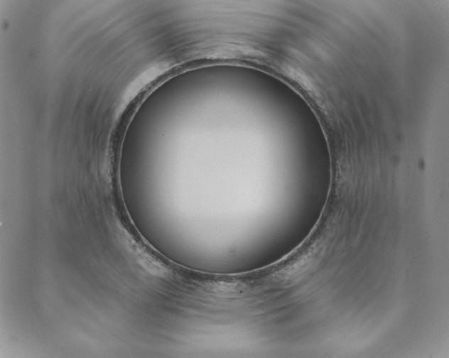 X0000089861122200706281244