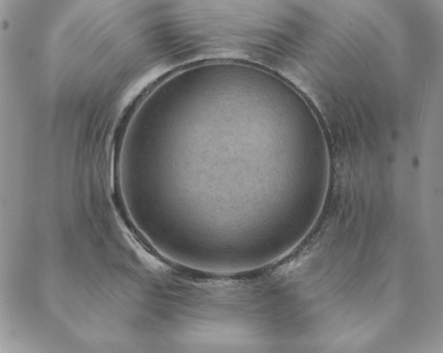 X0000089861127200706281244