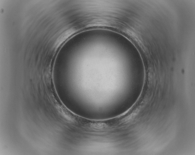 X0000089861129200706281244