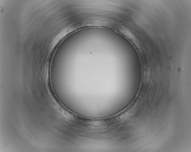X0000089861130200706281244