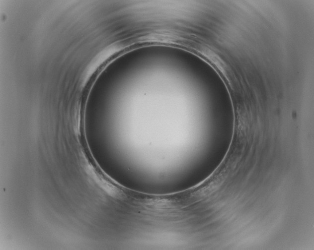X0000089861131200706281244