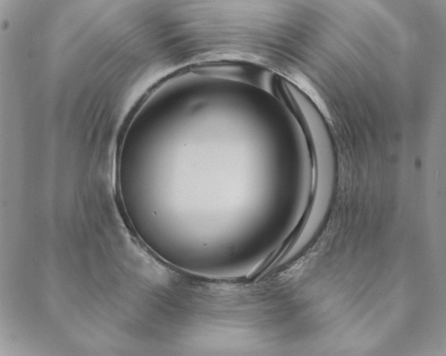 X0000089861132200706281244