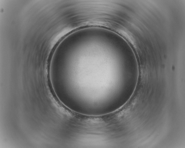 X0000089861133200706281244