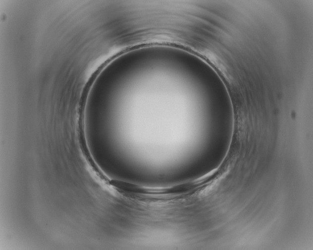 X0000089861134200706281244