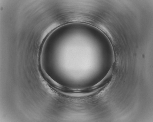 X0000089861138200706281244