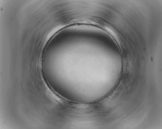 X0000089861141200706281244