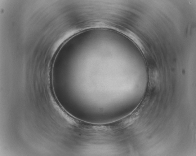 X0000089861142200706281244