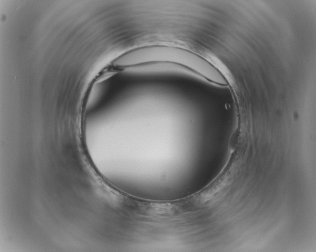 X0000089861144200706281244