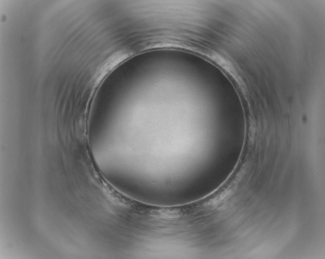 X0000089861145200706281244