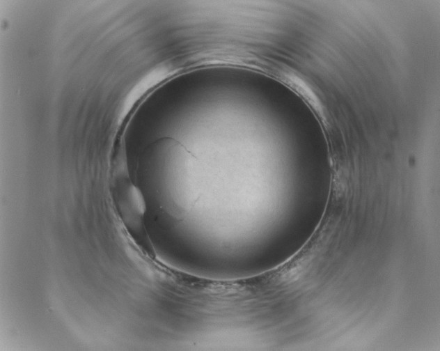 X0000089861146200706281244