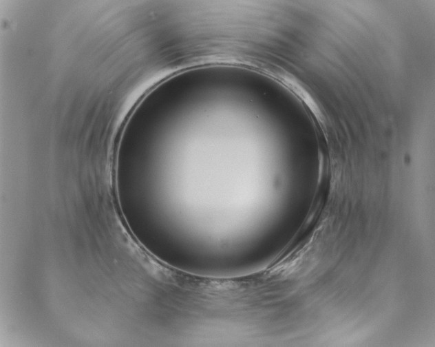 X0000089861148200706281244