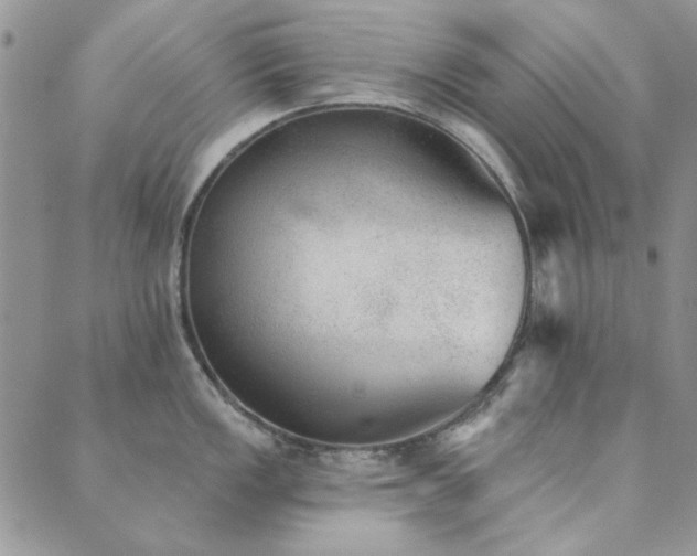 X0000089861149200706281244
