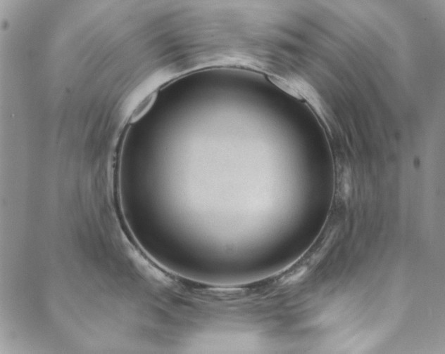 X0000089861151200706281244