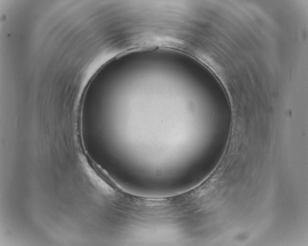 X0000089861152200706281244