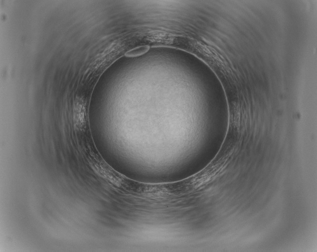 X0000089861154200706281244
