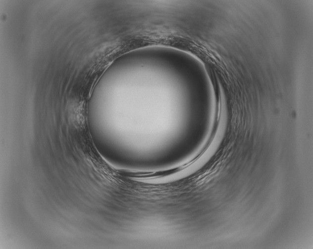 X0000089861156200706281244