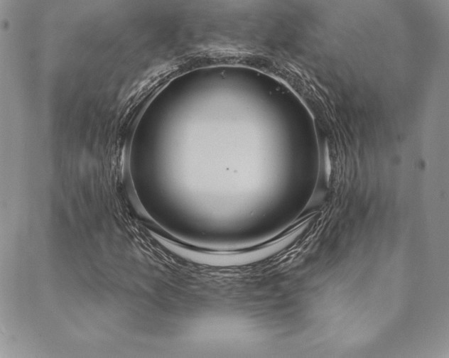 X0000089861157200706281244