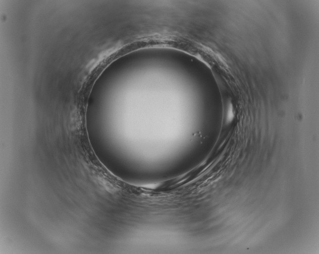 X0000089861160200706281243